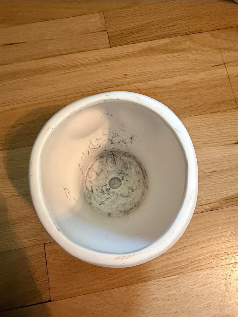 Set of 2 White Ceramic Skull Planter Pair - Home Accents